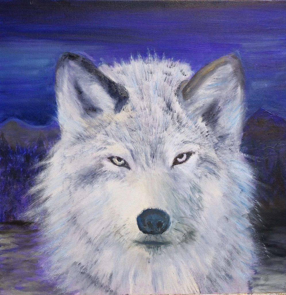 Silent Watcher