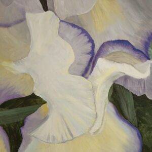 White Iris II