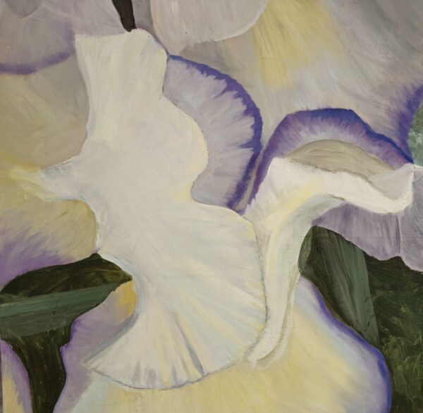 White Iris II