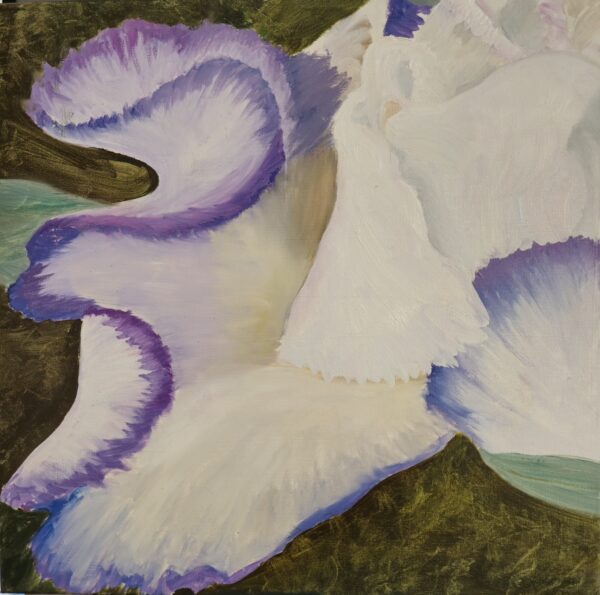 White Iris III
